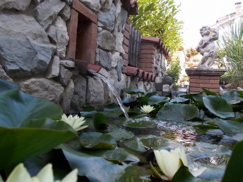 B&B Il Giardino Acquatico image 32
